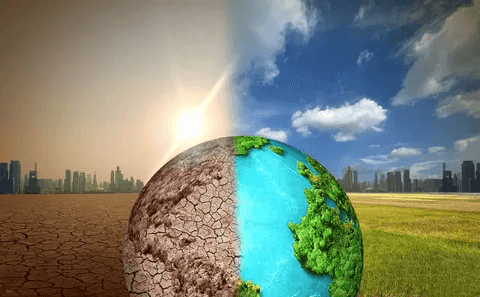 Climate Change & Environmental Sustainability